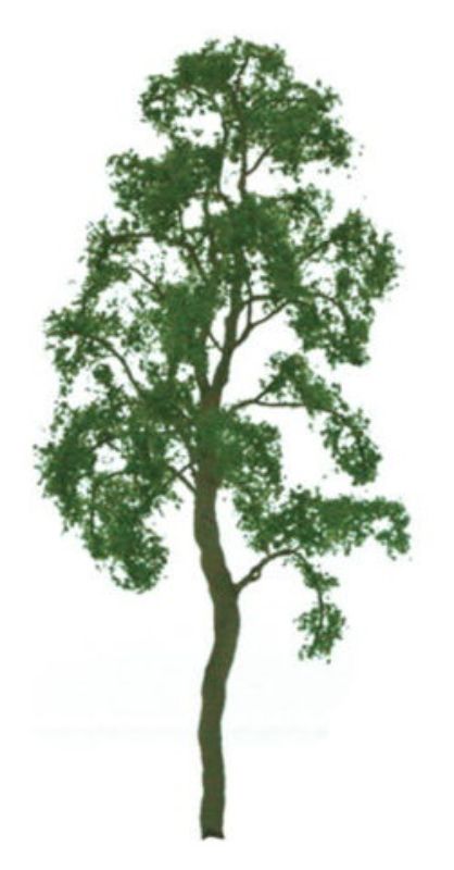 200mm birch tree model with lifelike foliage and natural bark, perfect for dioramas and miniature landscapes.