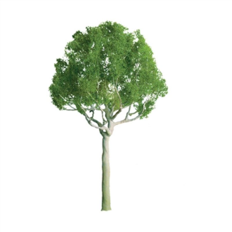 75mm round head model scenery trees in a 2-pack, perfect for enhancing dioramas and scale models with realistic greenery.