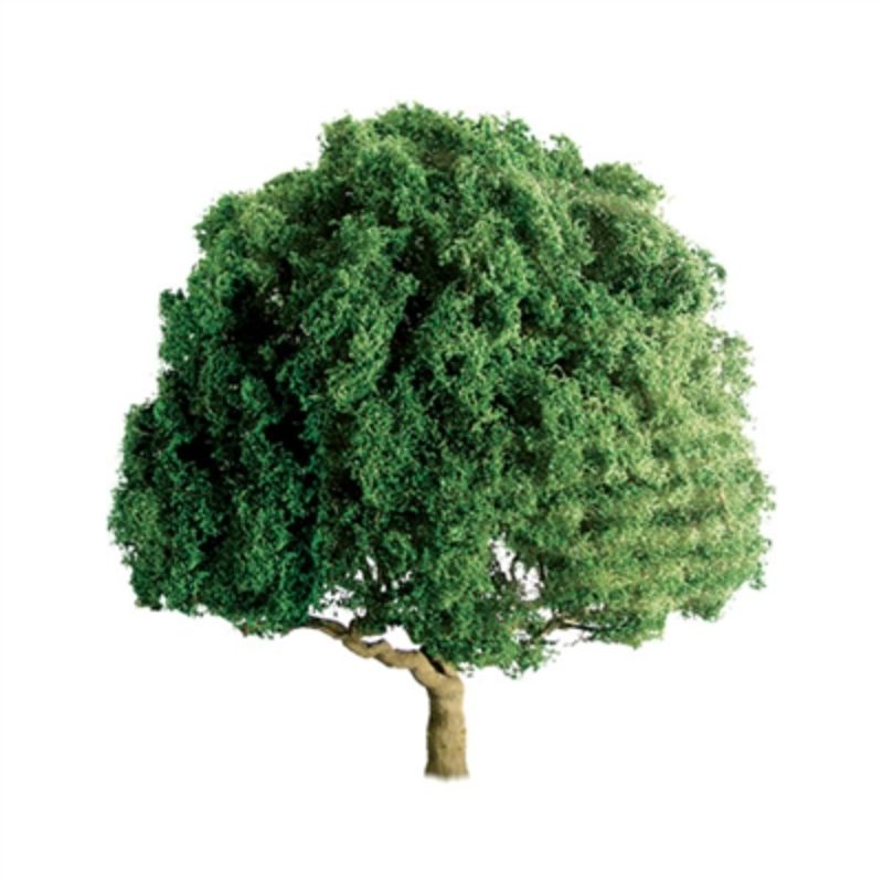 Two 75mm oak trees with realistic details for model scenery, ideal for dioramas and train layouts.