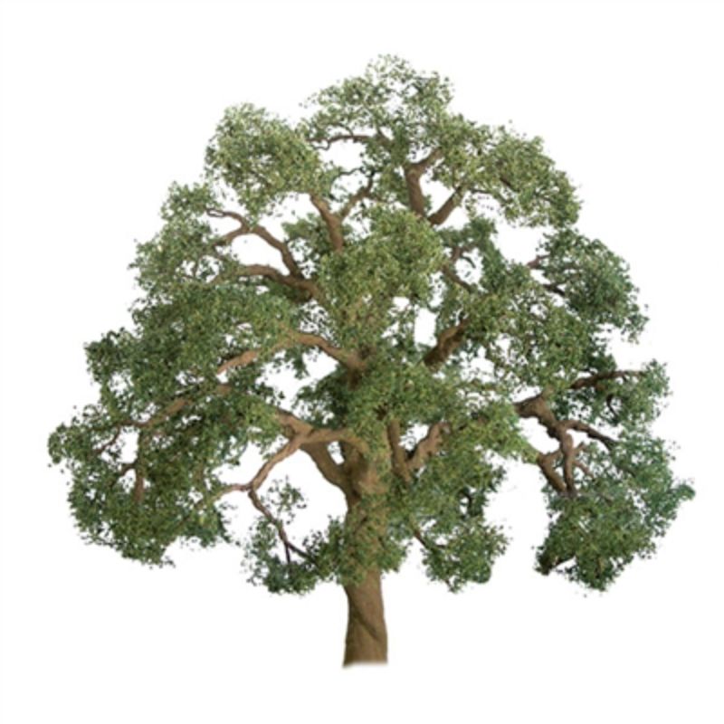 Two 75mm Live Oak trees by JTT Scenery, intricately detailed and vibrant, ideal for model landscapes and dioramas.
