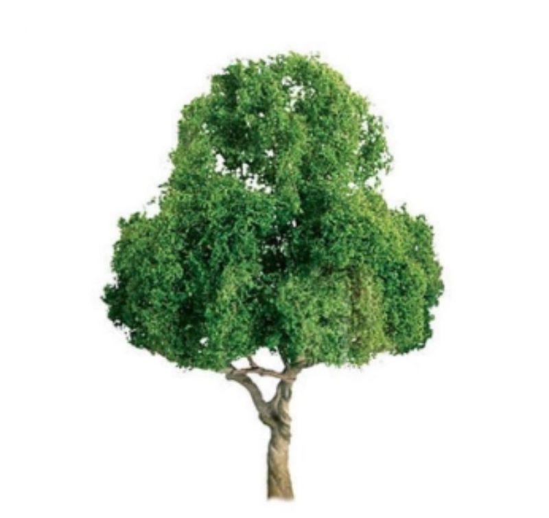 138mm deciduous model tree by JTT Scenery, ideal for enhancing dioramas and railway layouts with realistic foliage.
