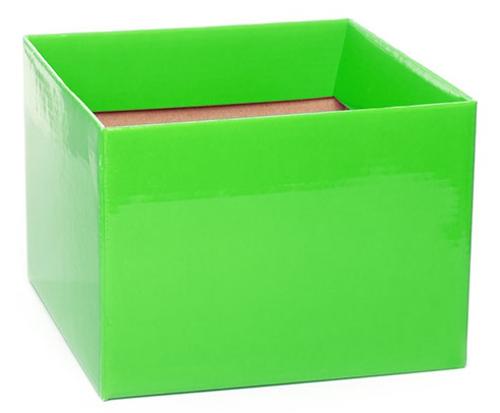 Medium No.6 Posy Box with Flap Pack of 10 Lime Green 16x16x12cmH
