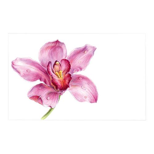 Cards White Pink Orchid Full Bloom Pack of 50 10x6.5cmH