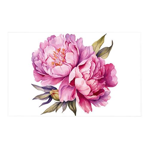 Cards White Cabbage Roses Pink Pack of 50 10x6.5cmH