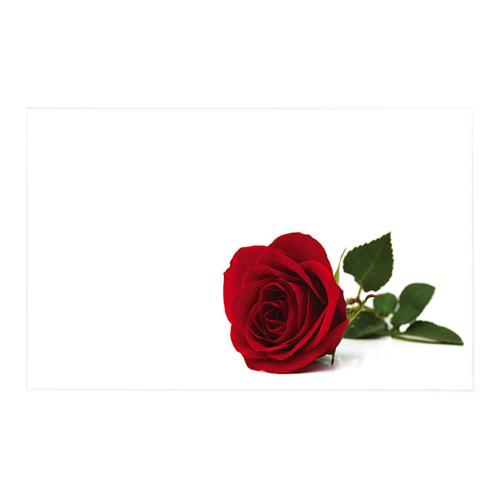 Cards White Red Rose Full Bloom Pack of 50 10x6.5cmH