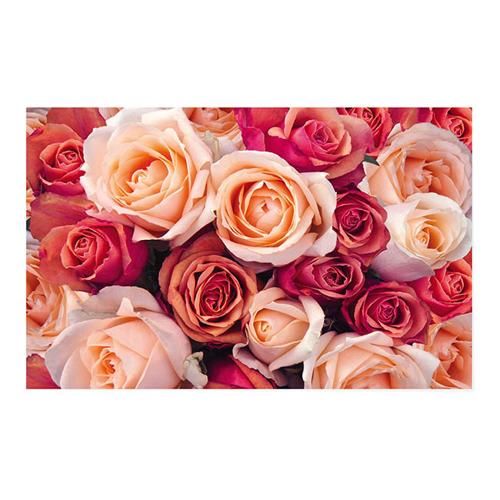 Cards White Roses Galore Pink & Peach Pack of 50 10x6.5cmH