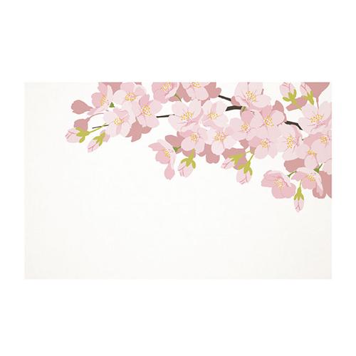 Cards White Cherry Blossom Branch 10x6.5cmH Pack of 50