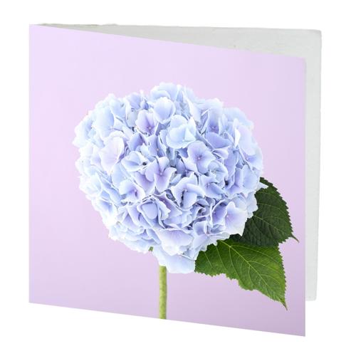 Gift Card Blue Hydrangea Pack of 10 with Envelopes 7cmx7cm