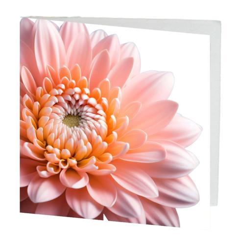 Gift Card Light Pink Gerbera Pack of 10 with Envelopes 7cmx7cm