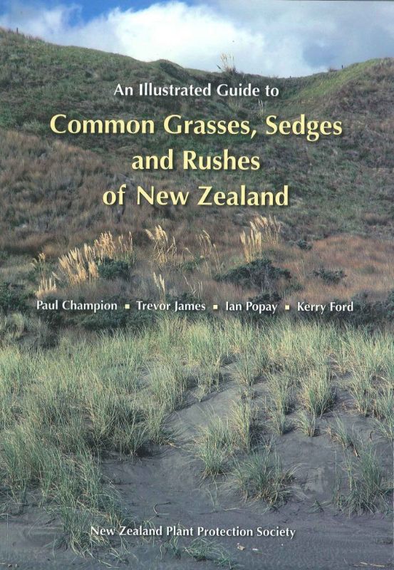Comprehensive guidebook featuring vibrant photos and illustrations of New Zealand's grasses, sedges, and rushes.
