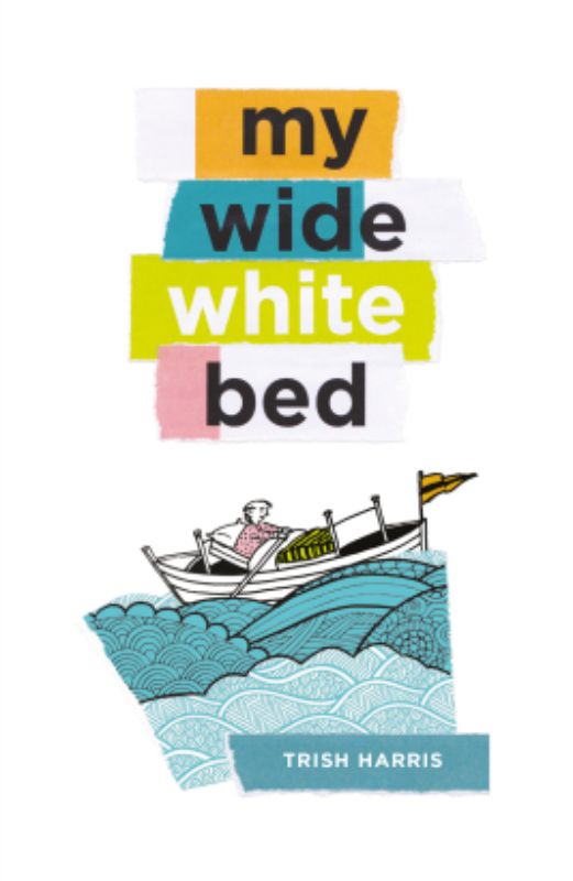 My Wide White Bed by Trish Harris: A poignant poetry collection exploring recovery and human connection through heartfelt verses.