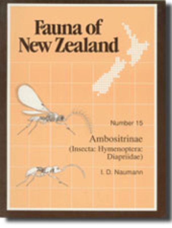 Comprehensive guide to New Zealand's Ambostrinae invertebrates, featuring 165 pages of insights and illustrations.