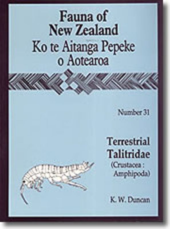Guide to New Zealand's Talitridae family of amphipods, featuring illustrations and detailed ecological insights.