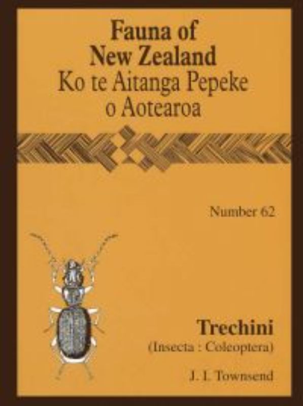 Comprehensive guide to New Zealand's unique Trechini beetles featuring species adaptations and habitats.