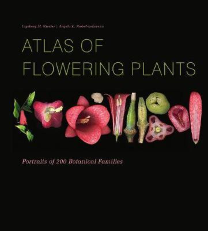 Atlas of Flowering Plants features vibrant portraits of 200 flowering plant families on a striking black background.