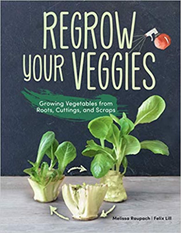 Guide to regrowing over 20 vegetables in your kitchen, promoting sustainability and reducing waste.