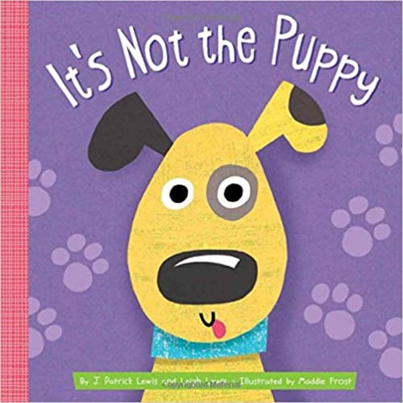 Hardback board book 'It's Not The Puppy', featuring colorful illustrations and playful rhymes for toddlers' storytime.