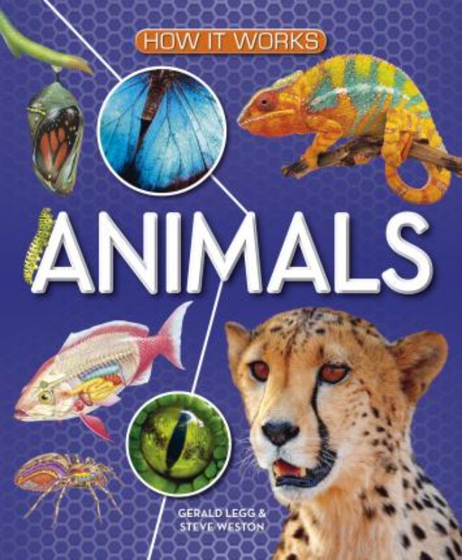 Engaging hardback book 'How it Works - Animals' with vibrant illustrations and essential wildlife facts for young readers.