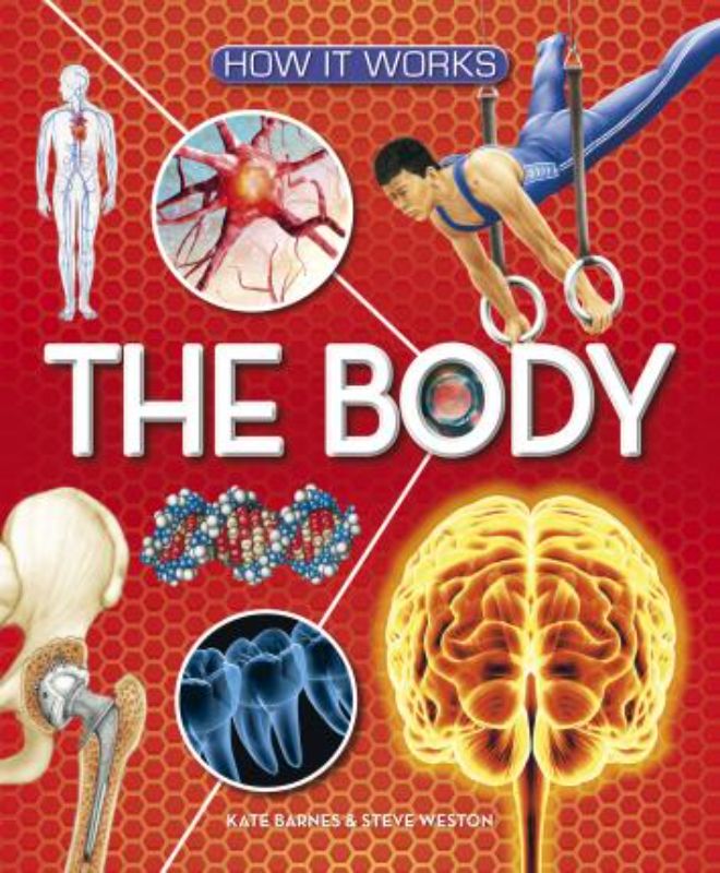 Hardback book 'How it Works - The Body' by Dr. Kate Barnes, featuring vibrant illustrations on human anatomy for kids.