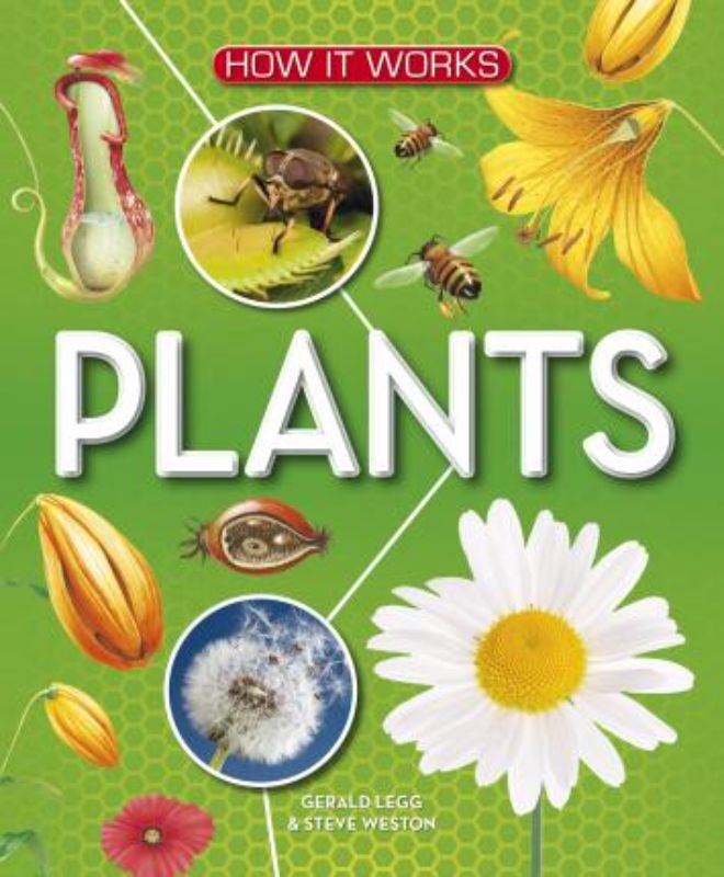 Illustrated hardback book exploring the world of plants with rich visuals and educational content for young learners.