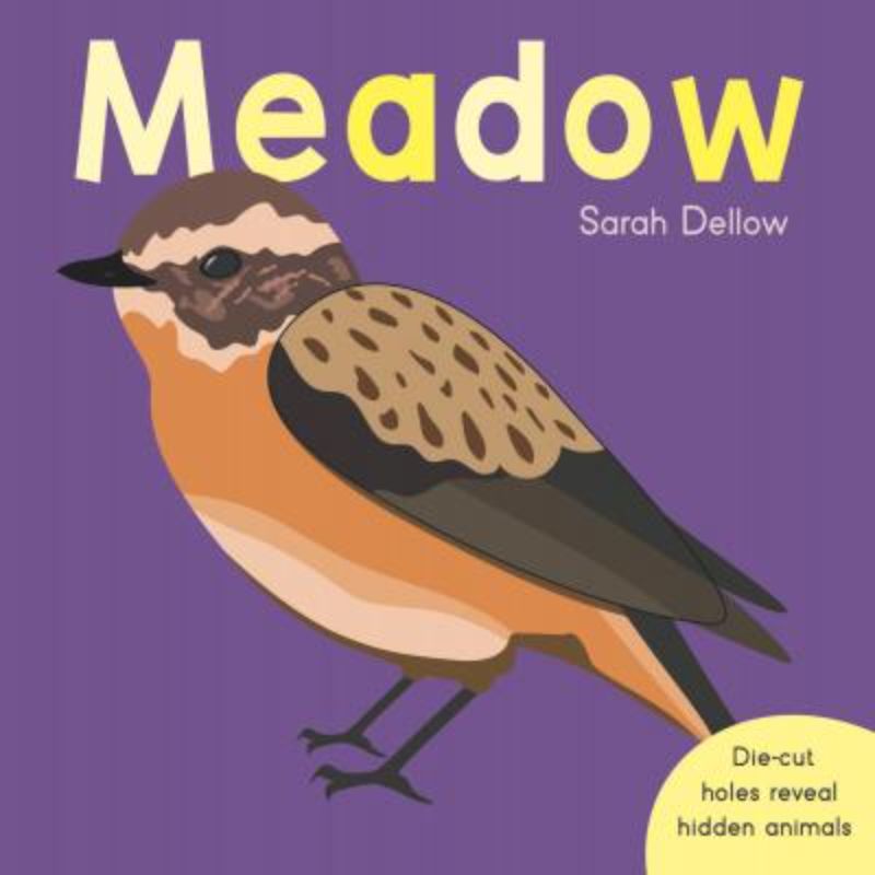 Hardback children's book 'Now You See It: In The Meadow' with die-cut holes and engaging illustrations for toddlers.