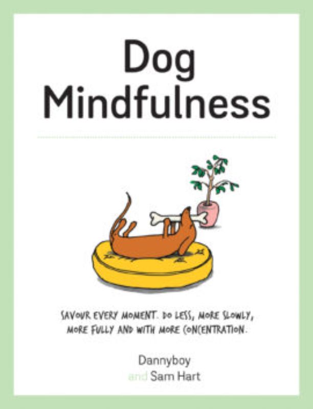 Guide to nurturing mindfulness in dogs, featuring practical tips for well-being and serenity in pet care.