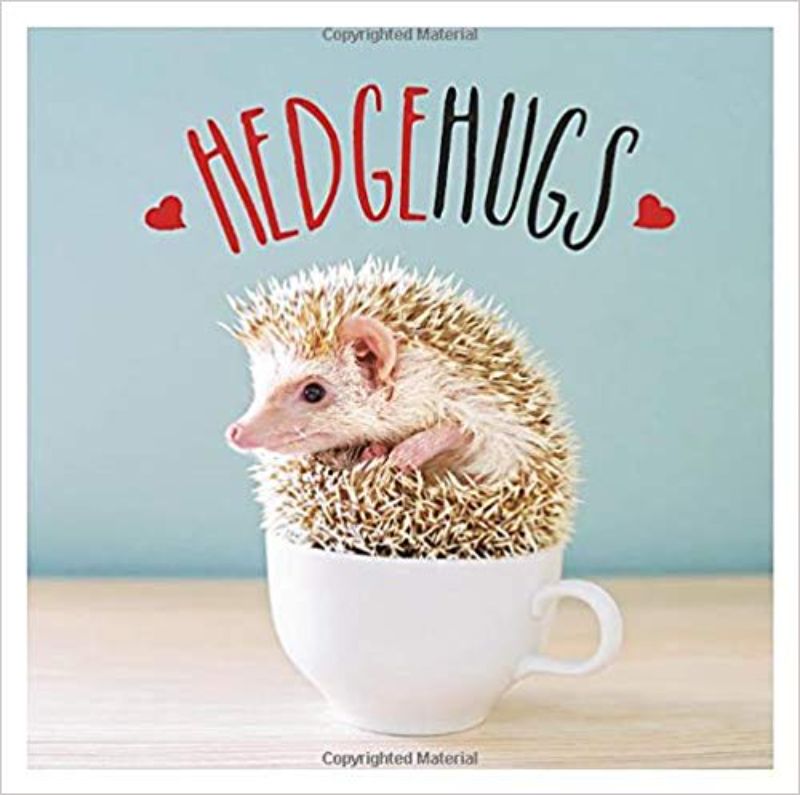 Hardback book 'Hedgehugs' filled with charming hedgehog illustrations, perfect for wildlife lovers and gift-givers.