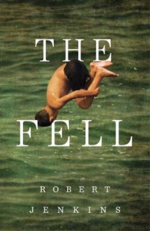 The Fell, a captivating novel by Robert Jenkins about a boy's journey through adolescence, family, and identity.