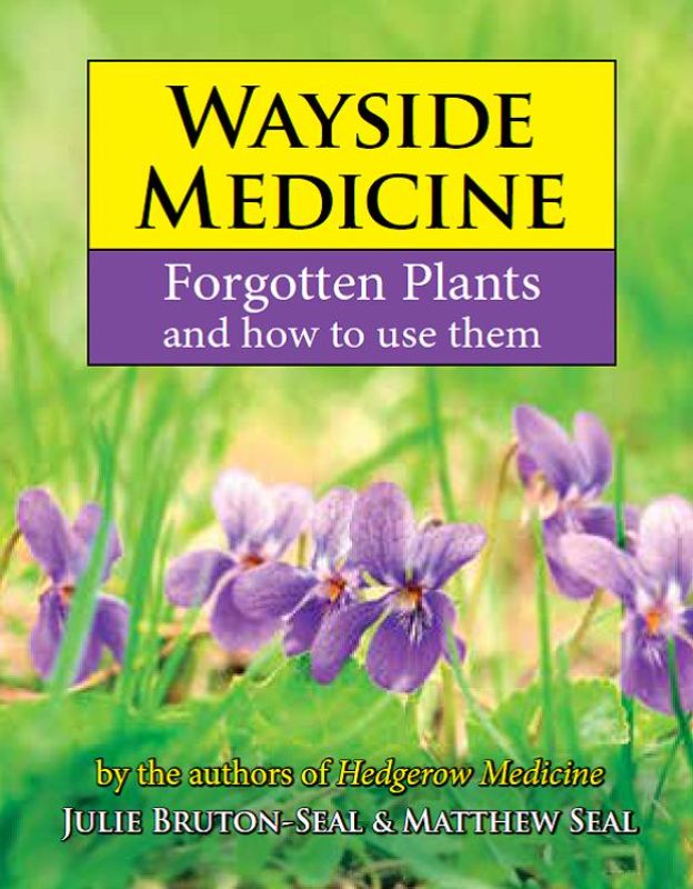 Hardback book 'Wayside Medicine' featuring native plants for herbal remedies with color photos and practical instructions.
