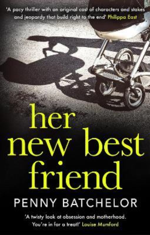 Cover of 'Her New Best Friend', a psychological thriller featuring a mother in crisis, exploring themes of trust and obsession.