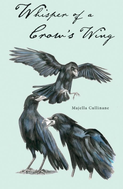 A beautifully crafted poetry collection exploring themes of life, death, and memory by Majella Cullinane.