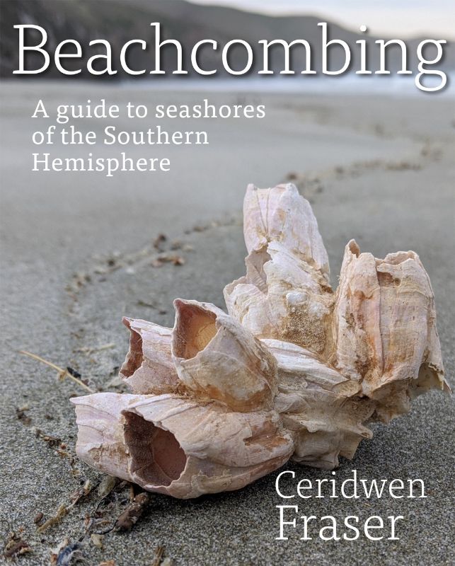 Explore the Southern Hemisphere's coastal treasures with 'Beachcombing,' a guide to marine life and beach finds.