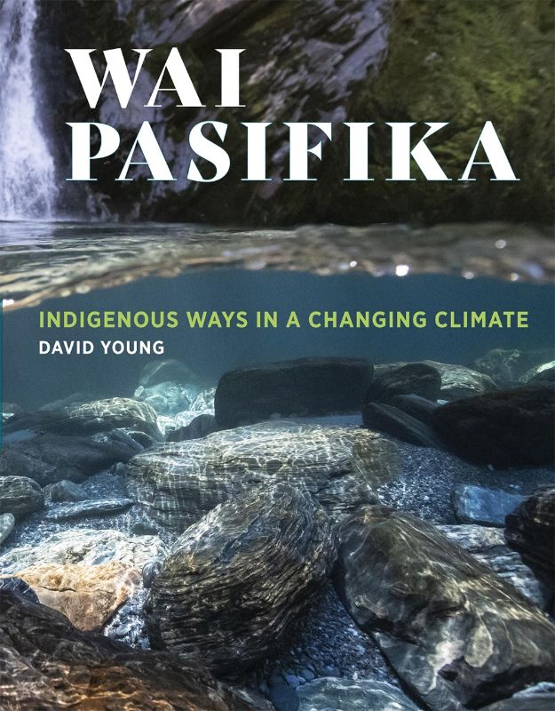 Wai Pasifika by David Young explores Polynesian water stewardship with beautiful illustrations and vital ecological insights.