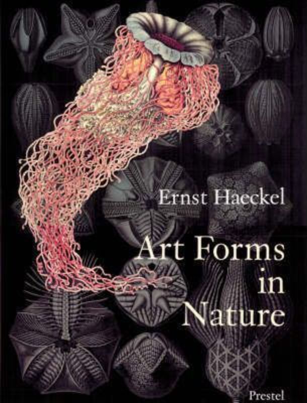 Stunning collection of Ernst Haeckel's prints showcasing intricate natural forms and geometric shapes in vibrant detail.