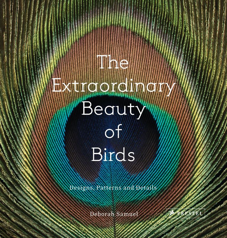 A hardback book featuring stunning bird photography by Deborah Samuel, showcasing their colors, textures, and natural beauty.