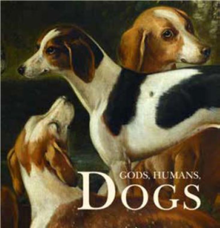 Hardback book 'Gods Humans Dogs', exploring the historic bond between humans and dogs, richly illustrated with 208 pages.