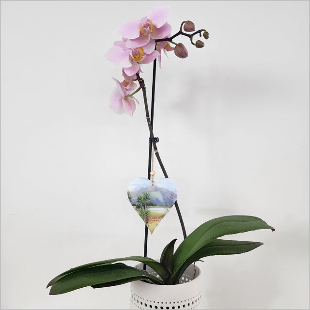 Hanging Ornament - Printed Heart 10 Aotearoa 1 (9.5 x 10.5cm)