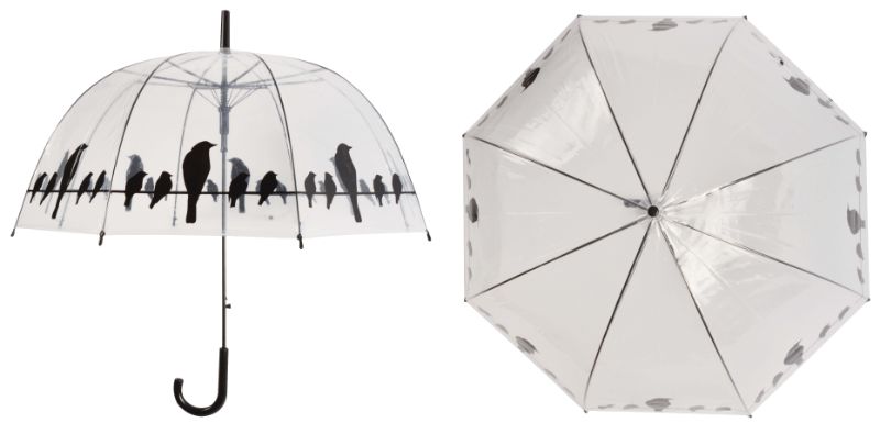 Umbrella - Birds On Wire Transparent (83cm)