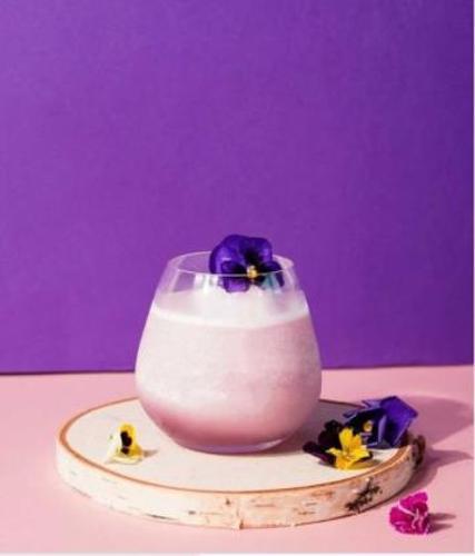 Blueberry Fruit Puree Monin 1L