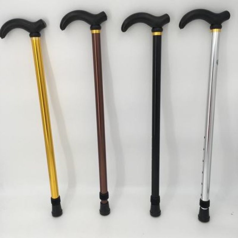 Walking Stick - Extend (Set of 12 Assorted)