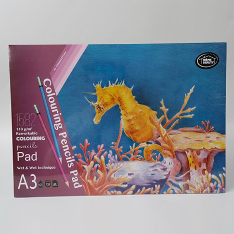 A3 Colouring Pencils Pad - 110g 40 Sheets (Set of 12)