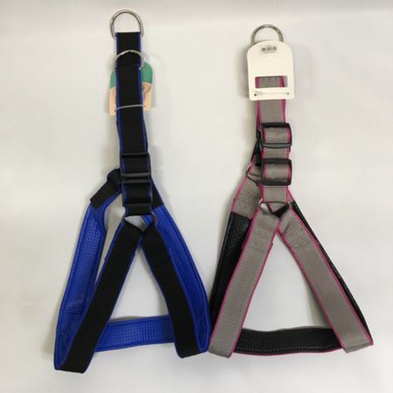 Pet Collar - Assorted 4cm 1 (Set of 12)