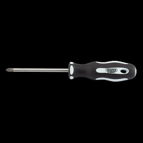 DRAPER Ergo Screwdriver 100mm PH2 with ergonomic grip, durable blade, and corrosion-resistant finish for precision tasks.