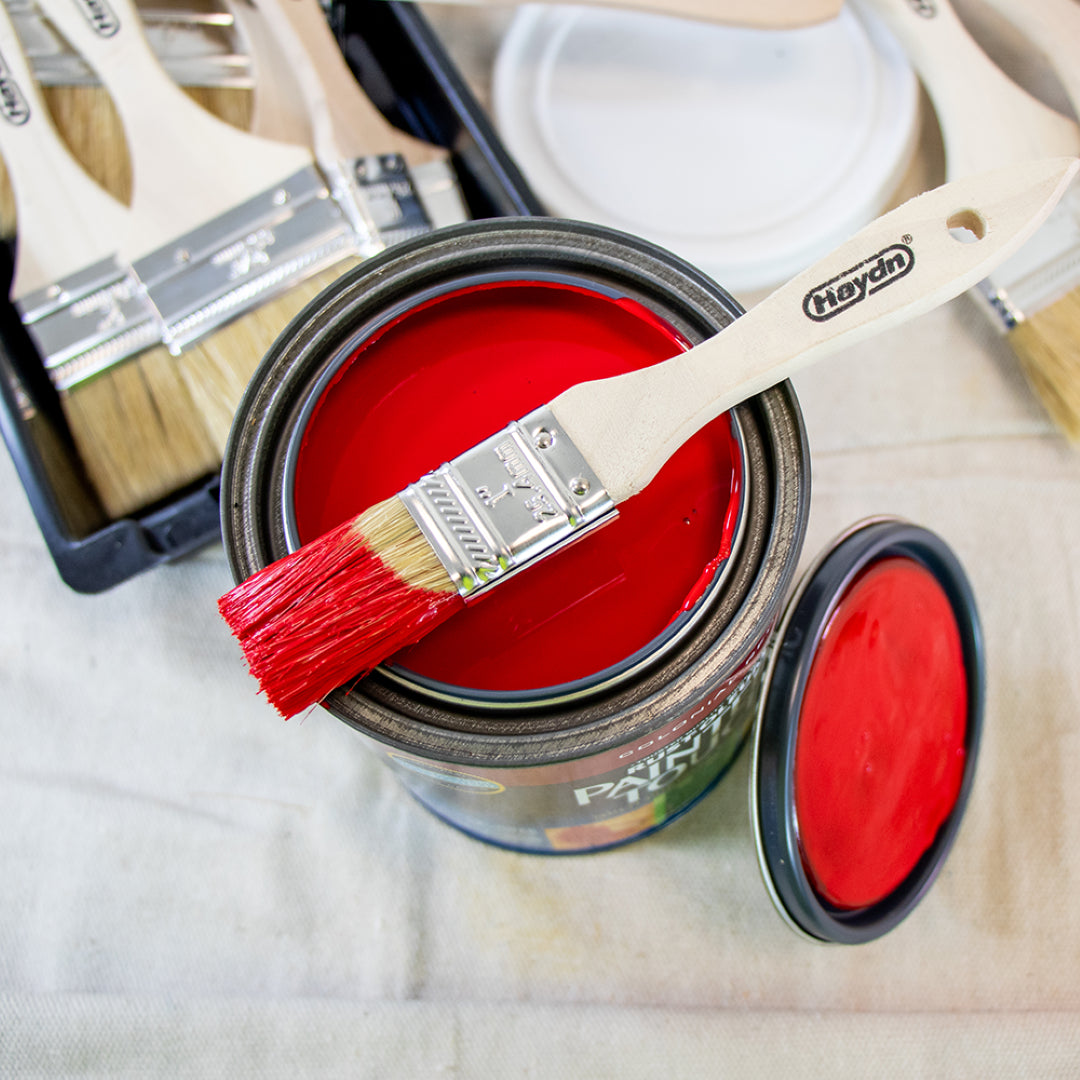 HAYDN 25mm Chip Brush with ergonomic handle, ideal for precise adhesive applications in industrial and DIY projects.