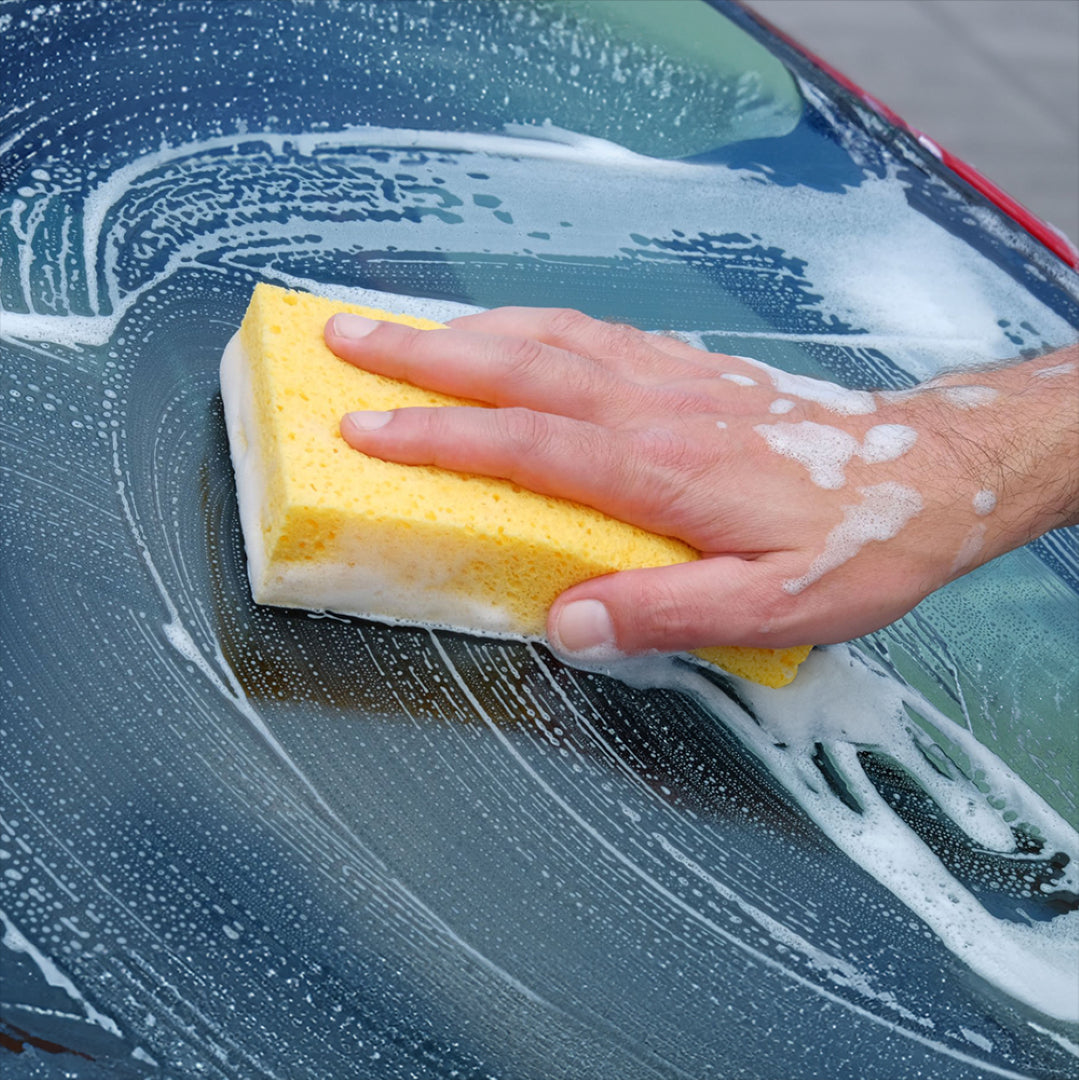 RAVEN Bailer Sailor Sponge: eco-friendly, super absorbent, antibacterial sponge for versatile cleaning needs on various surfaces.