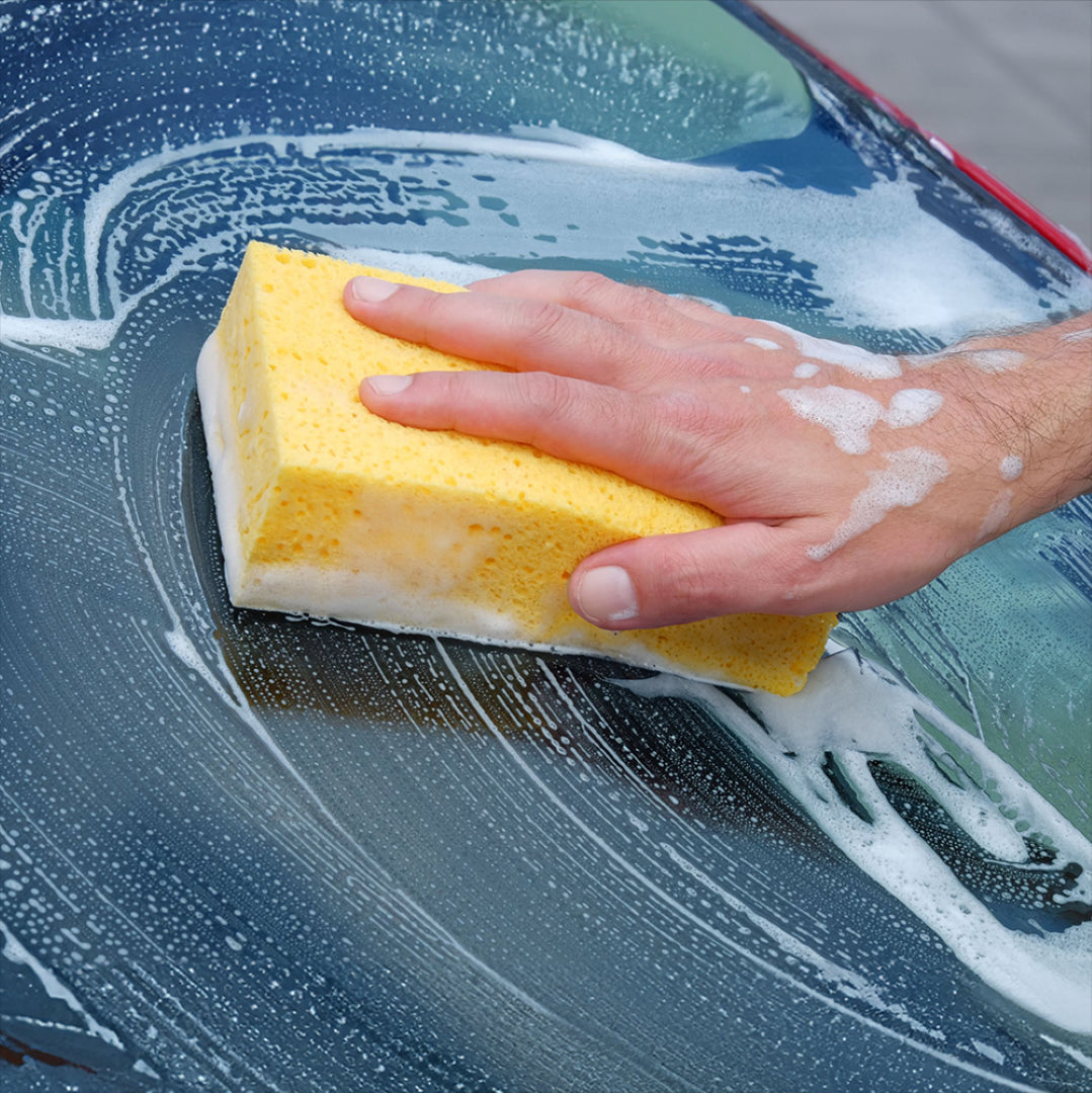RAVEN Jumbo Sponge: versatile, super absorbent, antibacterial sponge for safe, effective cleaning in various settings.