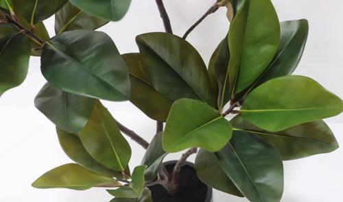 Real Touch Magnolia Artificial Plant in Black Pot