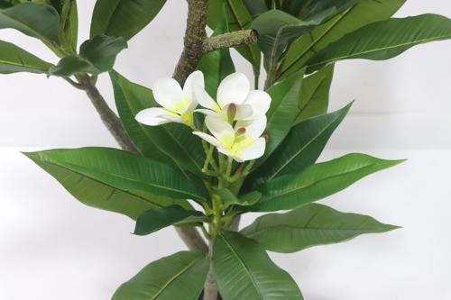 Real Touch Frangipani Artificial Plant in Black Pot