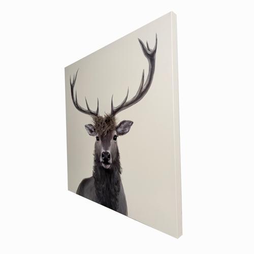 Bad Hair Day Deer Canvas Wall Art 3D Faux Hair 800x800