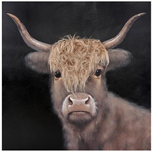 Bad Hair Day Highland Cow Canvas Wall Art 800x800